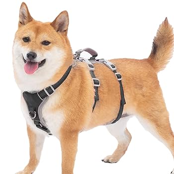 動かない犬 Amazon | Huntboo 犬 ハーネス 小型犬 中型犬 大型犬 犬用